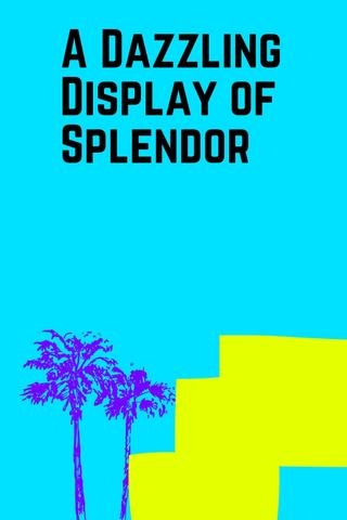 A Dazzling Display of Splendor poster