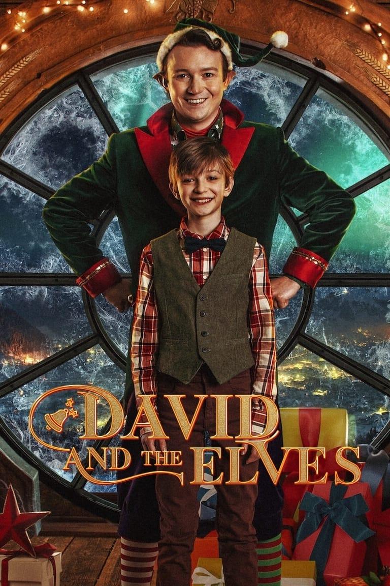 David and the Elves poster