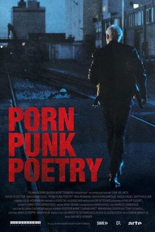 Porn Punk Poetry poster