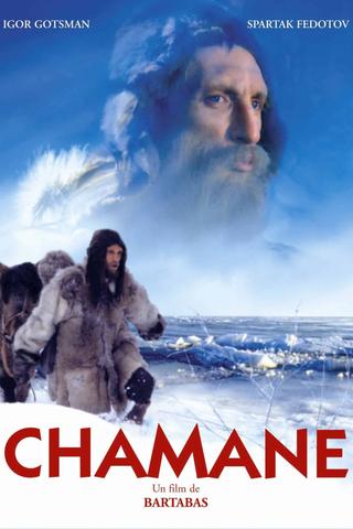 Shaman poster