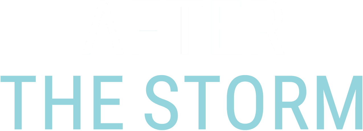 After the Storm logo