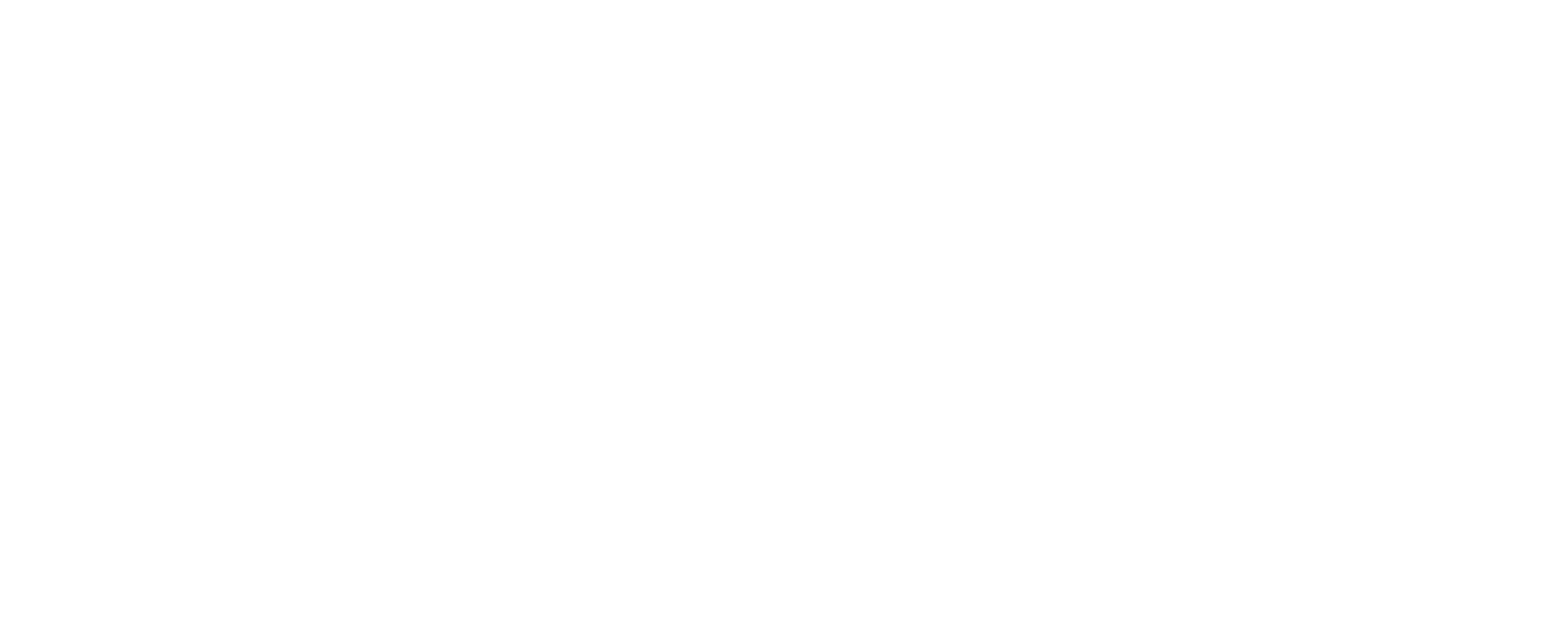 Tricky Brains logo