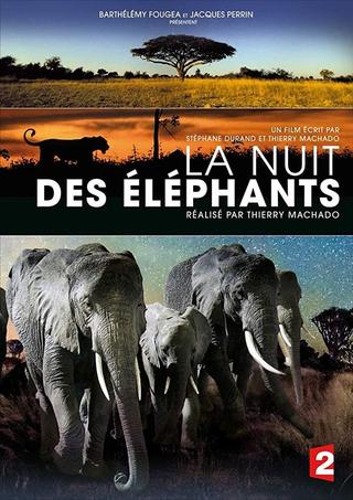 La Nuit des éléphants poster