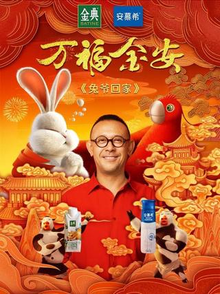 Master Rabbit Comes Home poster