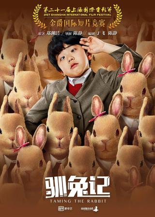 Taming the Rabbit poster