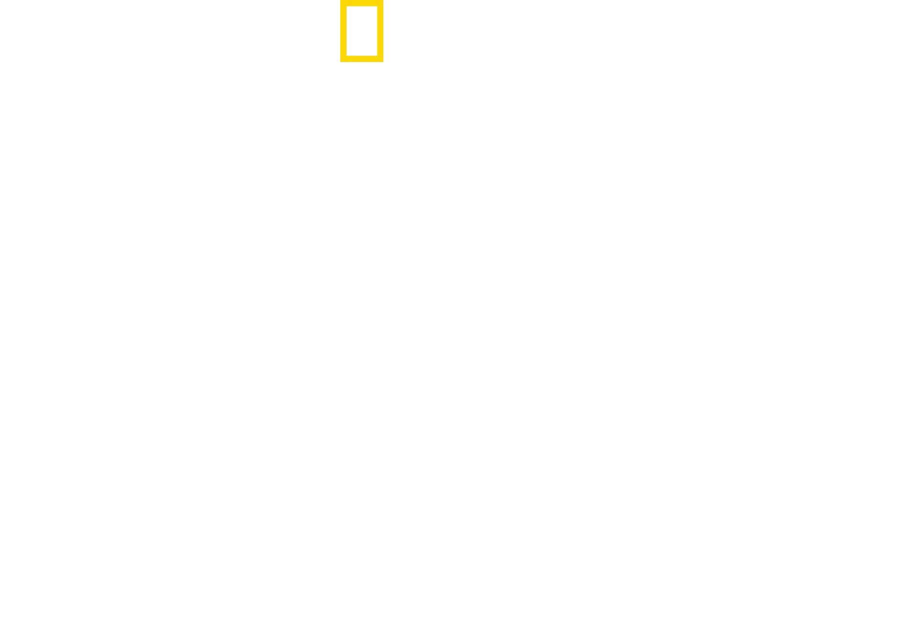 Drugs, Inc. logo