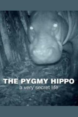 The Pygmy Hippo: A Very Secret Life poster