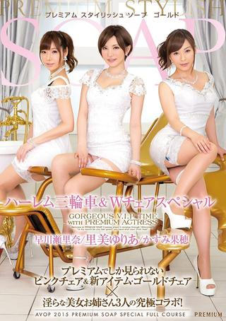 PREMIUM Stylish Soapland Goal – Harem Three-Way & Twin Chair Special poster