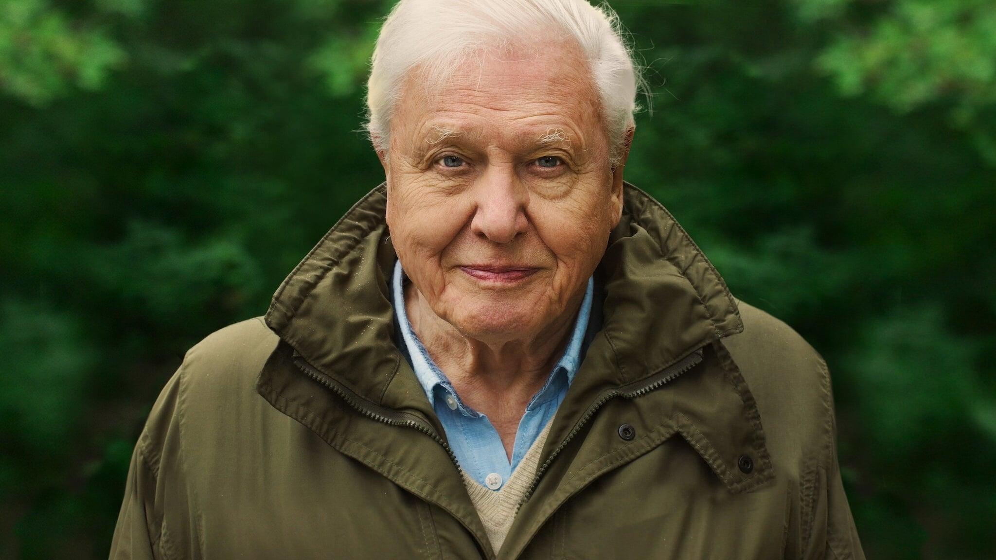 David Attenborough: A Life on Our Planet backdrop