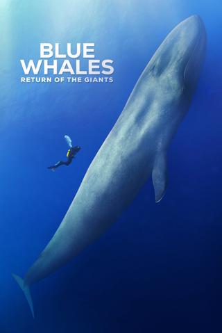 Blue Whales: Return of the Giants poster