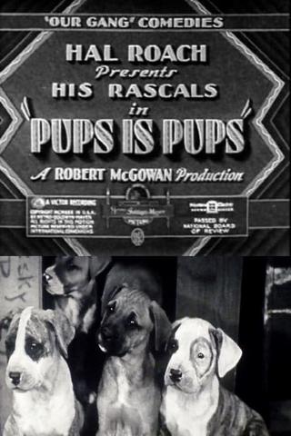 Pups Is Pups poster