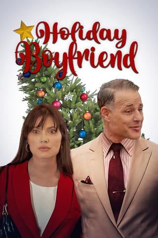 Holiday Boyfriend poster
