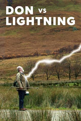 Don vs. Lightning poster