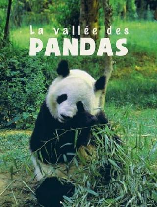 The Valley of the Pandas poster