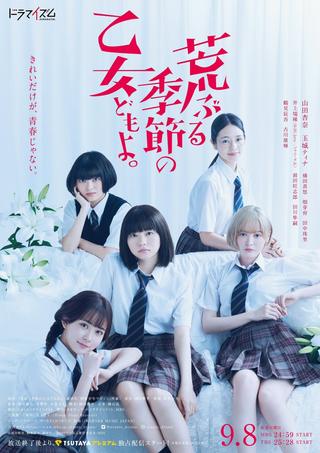 O Maidens in Your Savage Season poster