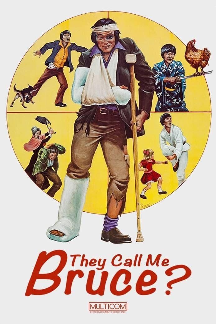 They Call Me Bruce? poster