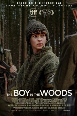 The Boy in the Woods poster