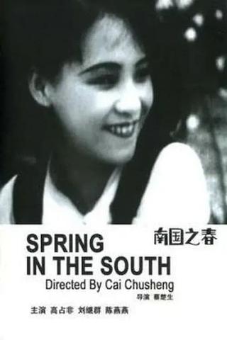 Spring in the South poster