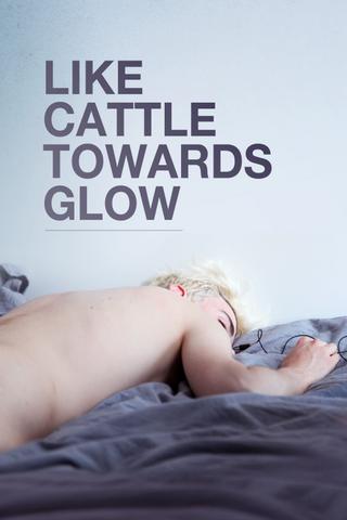 Like Cattle Towards Glow poster