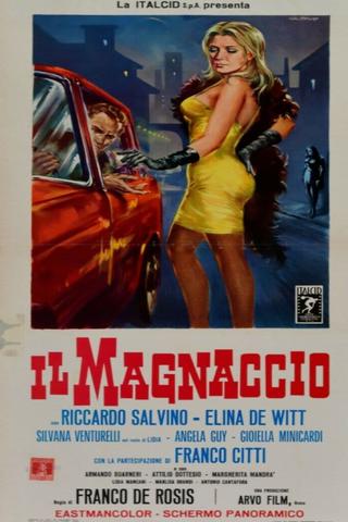 Il Magnaccio poster