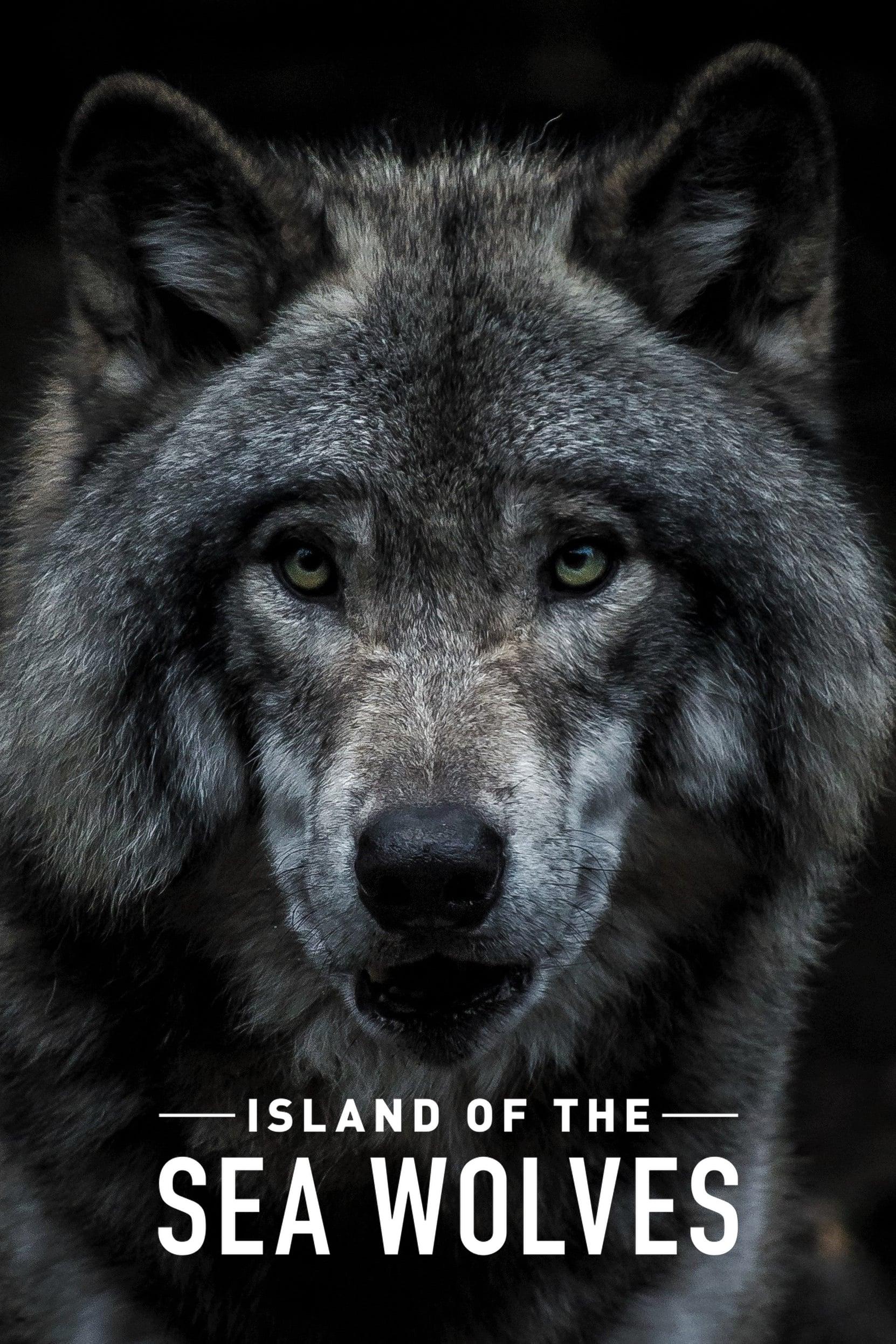 Island of the Sea Wolves poster