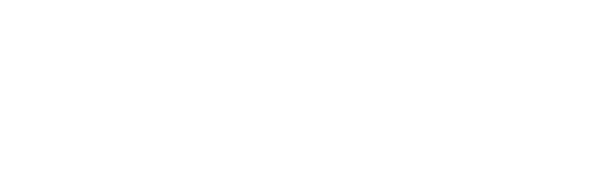 Director by Night logo
