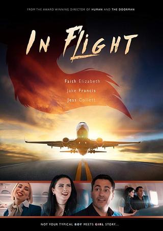 In Flight poster