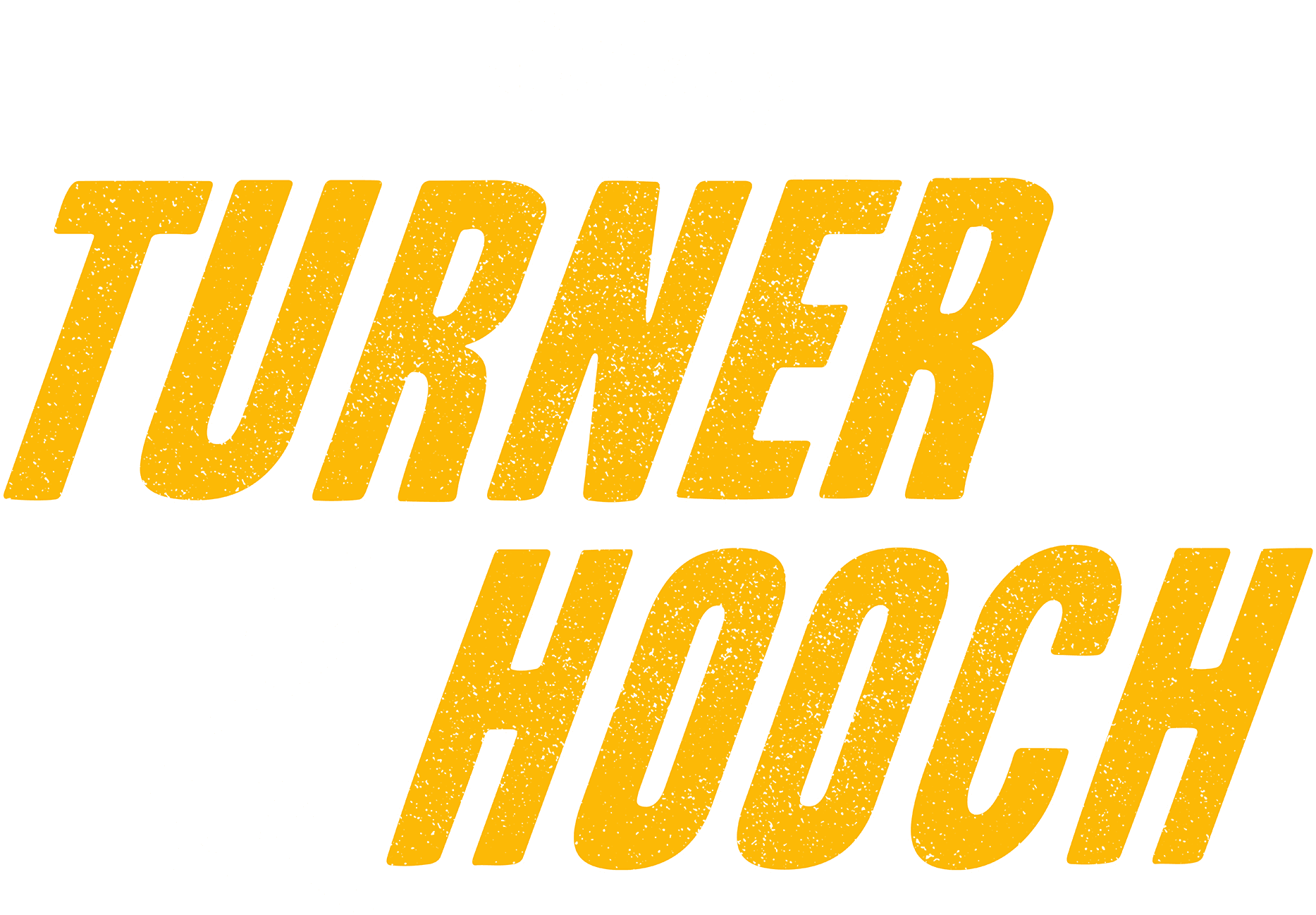 Turner & Hooch logo
