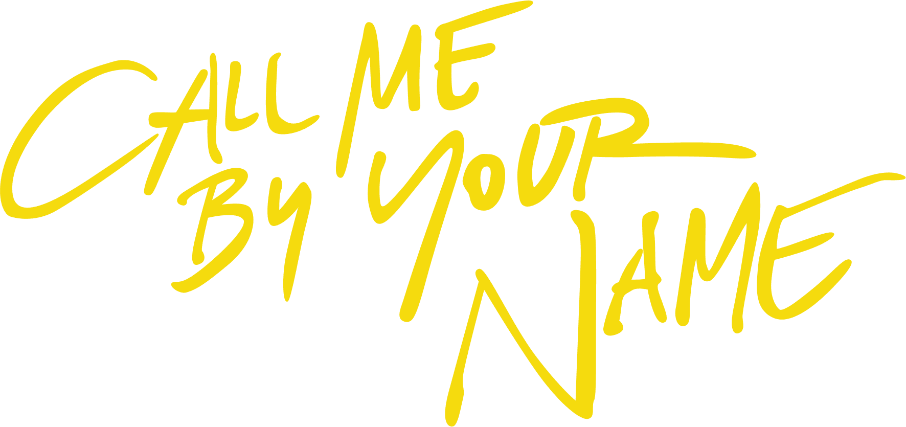 Call Me by Your Name logo