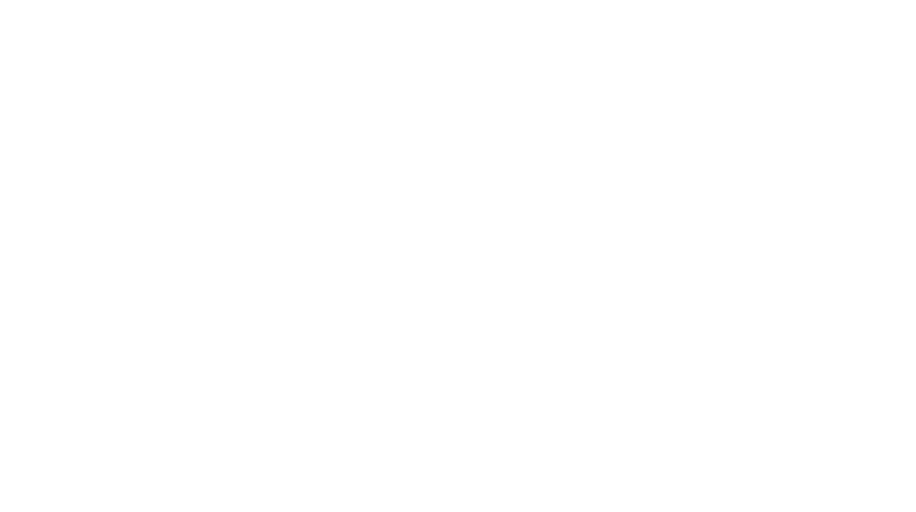 Magic Carpet Rides logo