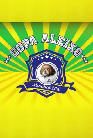 Copa Aleixo 2010 poster