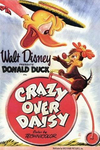 Crazy Over Daisy poster