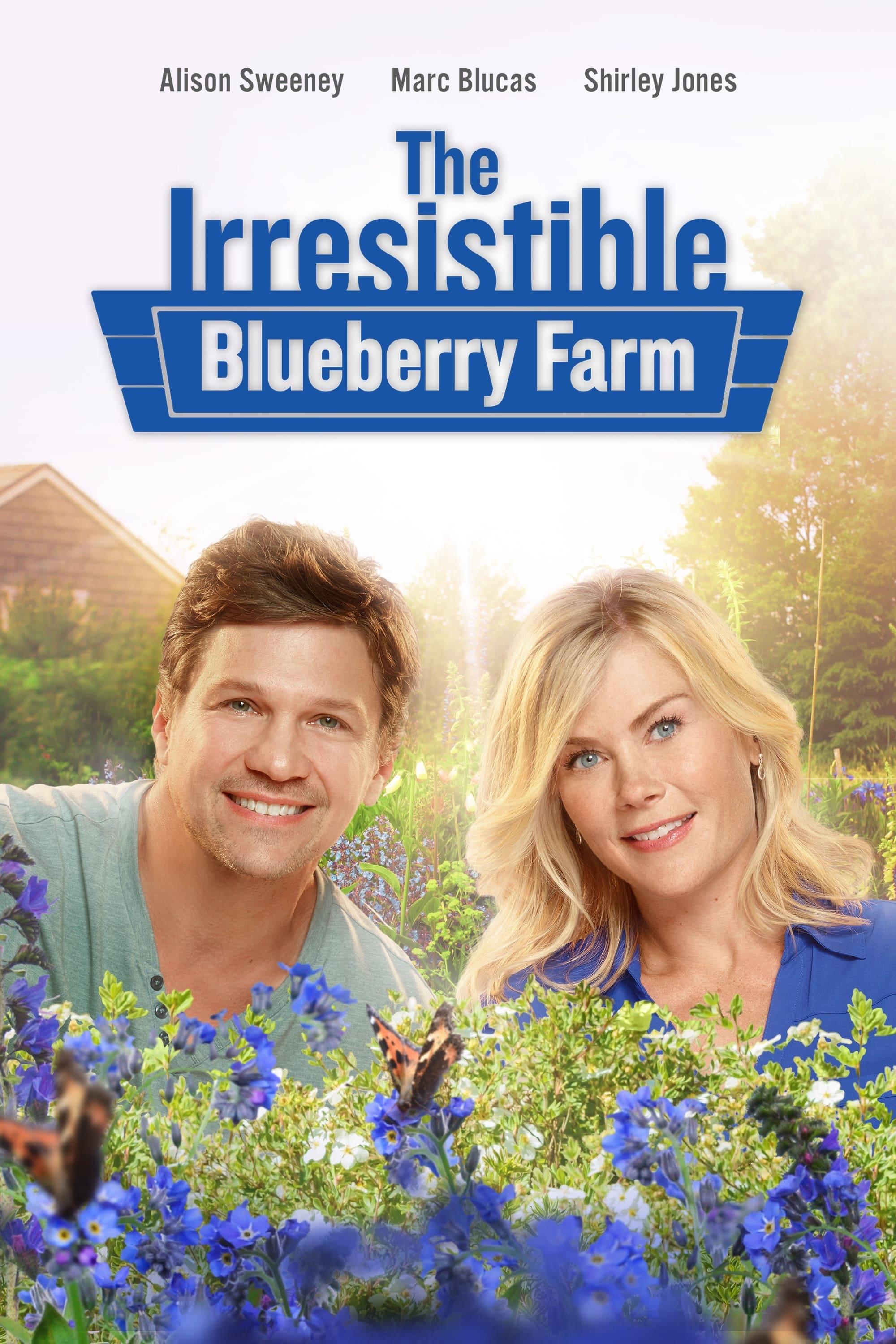 The Irresistible Blueberry Farm poster
