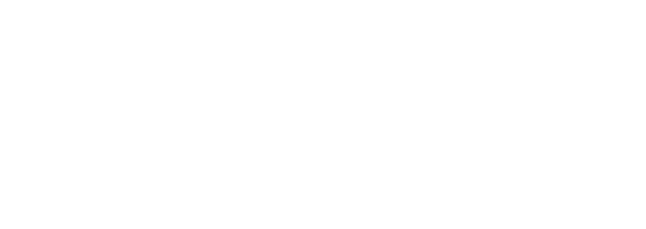 Troubled Waters: A Turtle's Tale logo