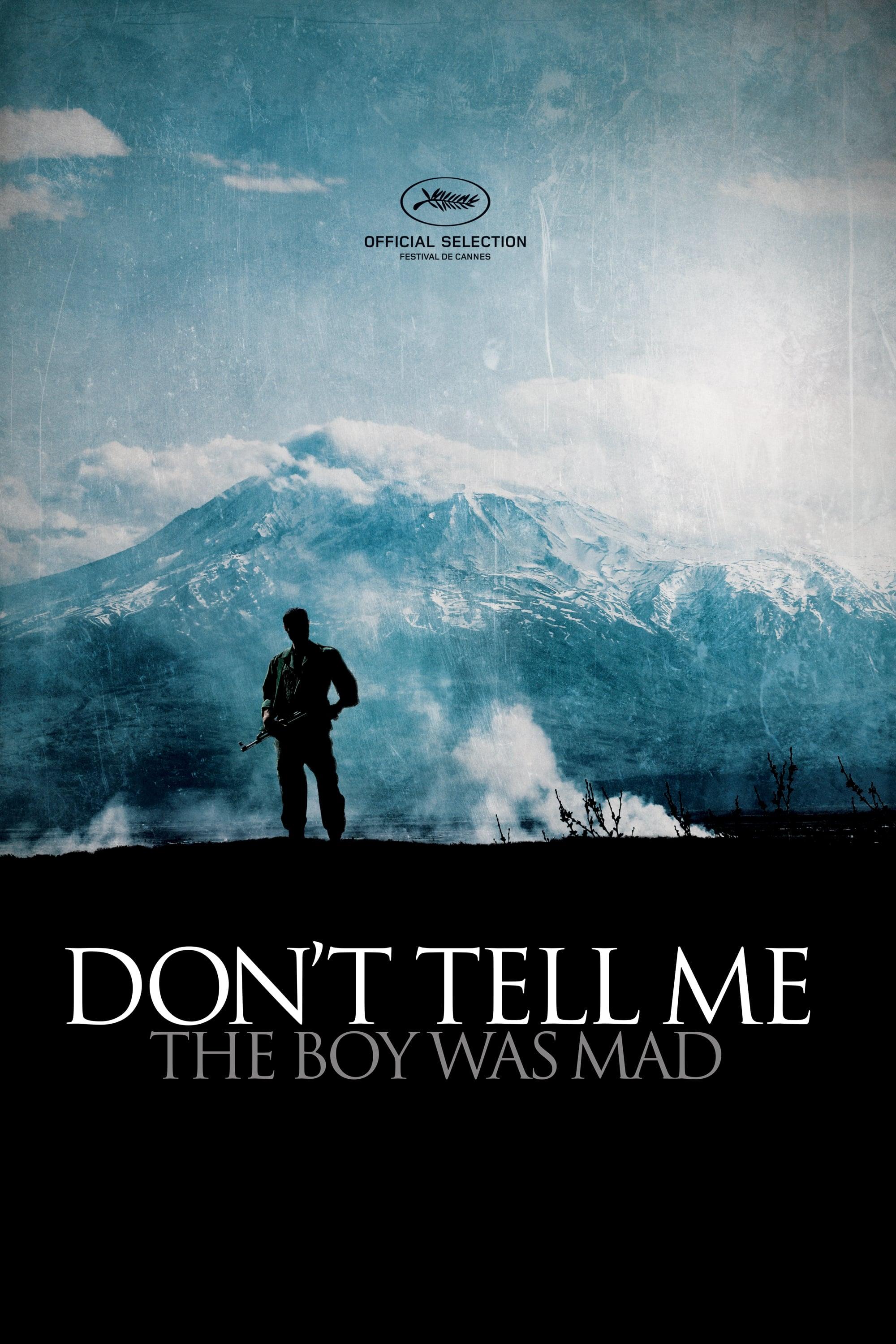 Don't Tell Me the Boy Was Mad poster