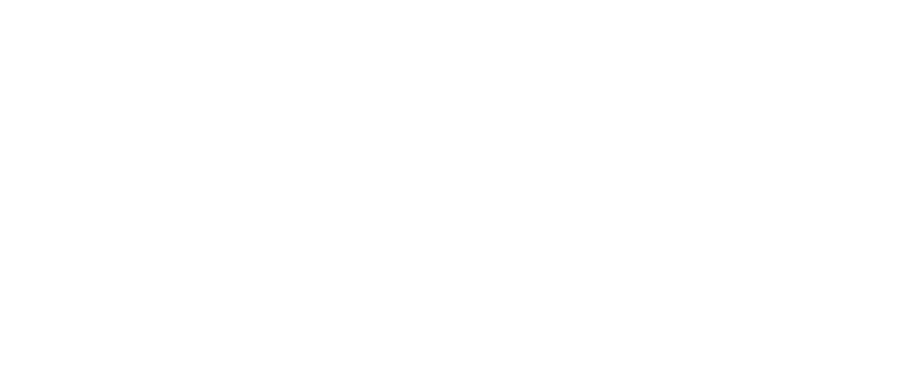 Leap Year logo