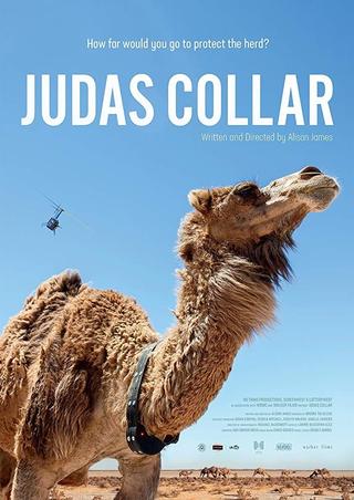 Judas Collar poster