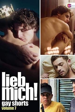 LIEB MICH! - Gay Shorts Volume 7 poster