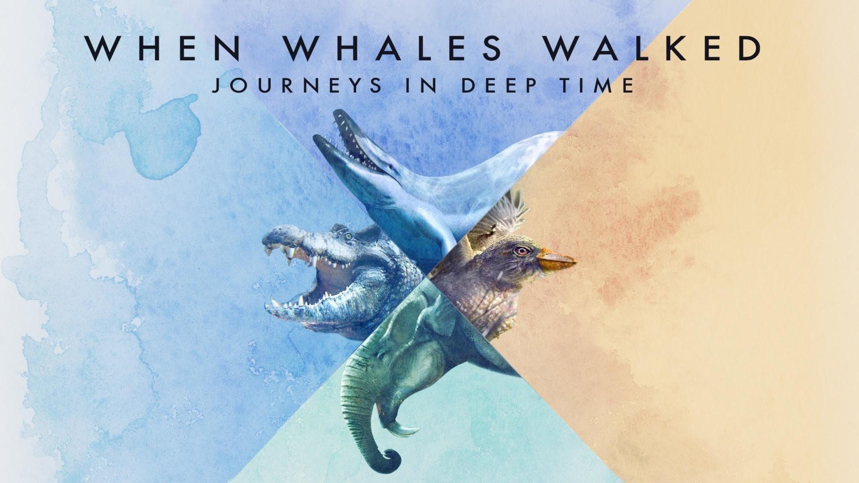 When Whales Walked: Journeys in Deep Time backdrop