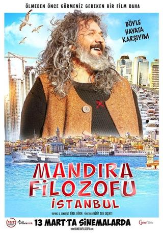 Mandıra Filozofu: İstanbul poster