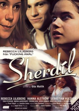 Sherdil poster