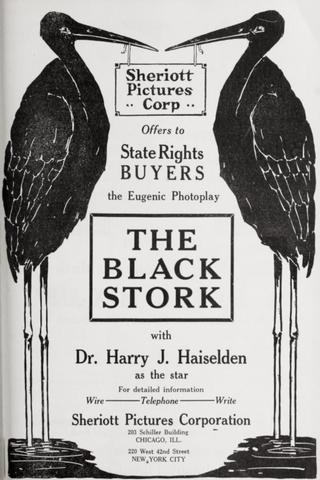 The Black Stork poster