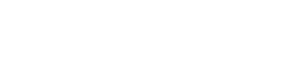 Wild Wild Country logo