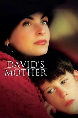 David's Mother poster
