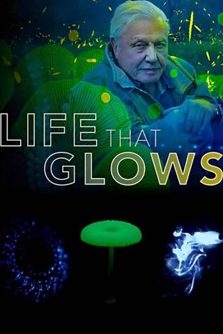 Attenborough's Life That Glows poster
