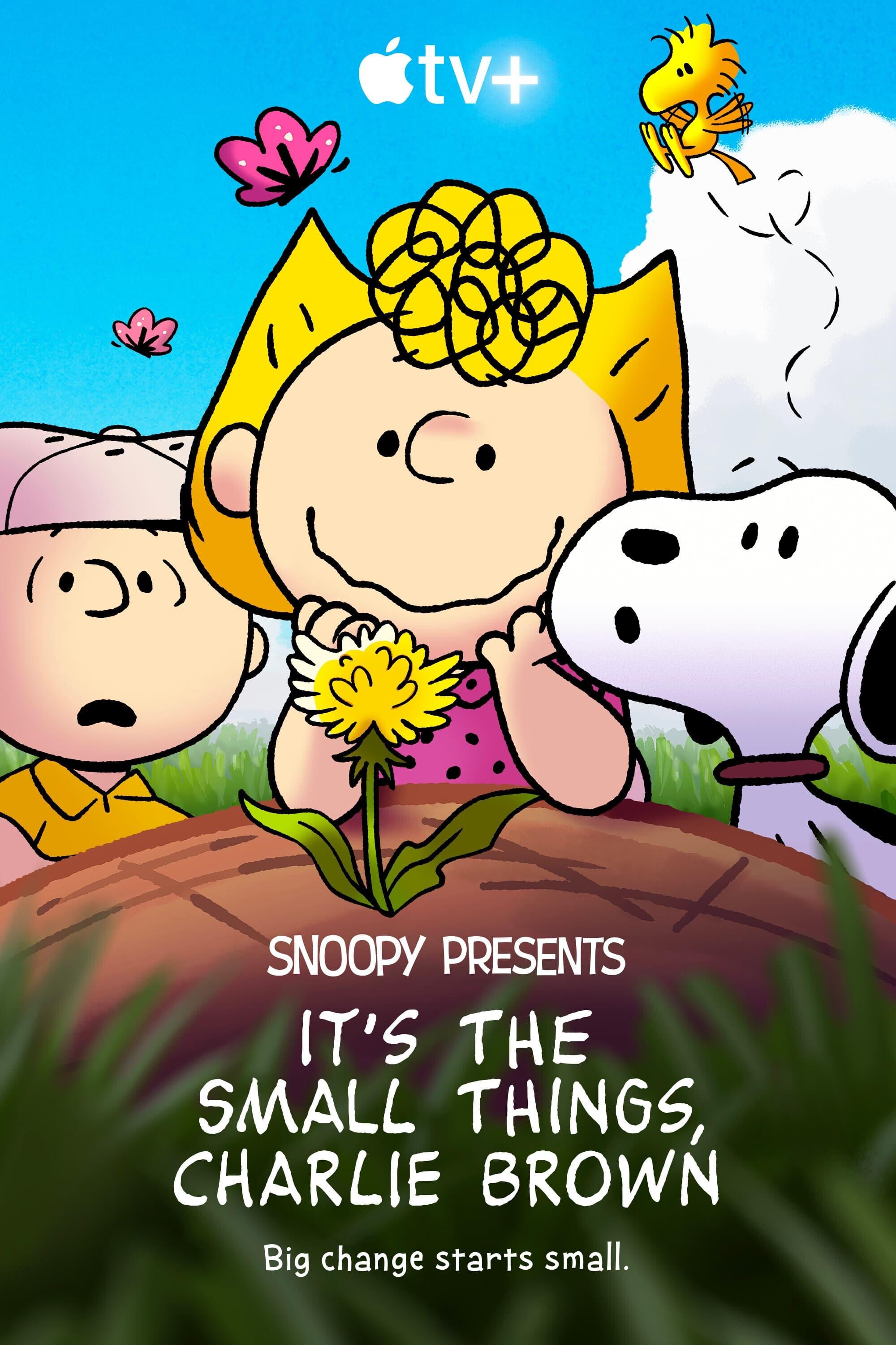 Snoopy Presents: It's the Small Things, Charlie Brown poster