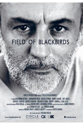 Field of Blackbirds poster