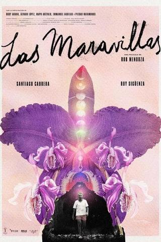 Back to Las Maravillas poster