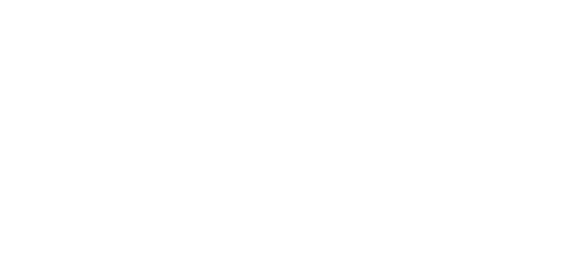 Silver Skates logo