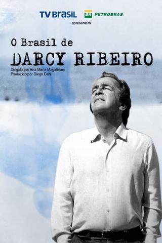 O Brasil de Darcy Ribeiro poster